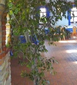 Szél Fiai Fogadó & Cellárium