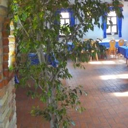 Szél Fiai Fogadó & Cellárium Nyúl - Egyéb