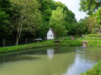 Pisztrángos tavak Óbánya