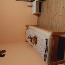 Lovas Vendégház Óbánya - Egyéb