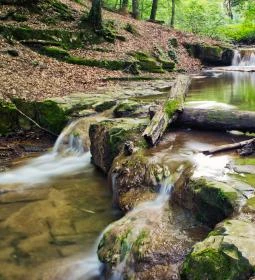 Pro Silva tanösvény