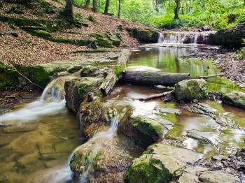 Pro Silva tanösvény Óbánya