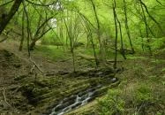 Óbánya - Óbányai-völgy