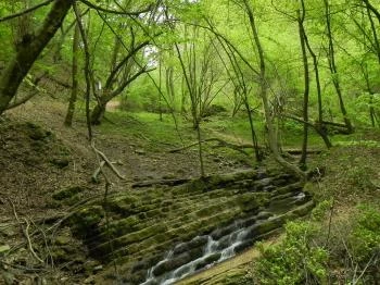 Óbányai-völgy Óbánya