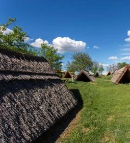 Ócsa Öreghegyi pincesor