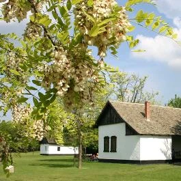 Ópusztaszeri Nemzeti Történeti Emlékpark Szabadtéri Néprajzi Gyűjteménye Ópusztaszer - Egyéb