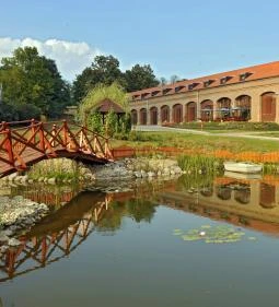 Bőszénfai Szarvasfarm