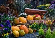 Ôriszentpéter - Őrségi Tökfesztivál