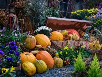 Őrségi Tökfesztivál Ôriszentpéter