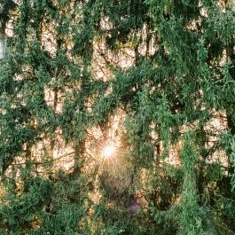 Pajta Étterem Ôriszentpéter - Egyéb