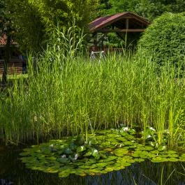 Kulcsos Vendégház Ôriszentpéter - Külső kép