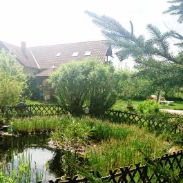 Kulcsos Vendégház Ôriszentpéter - Medence/kert