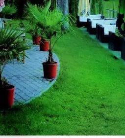 Hotel Corvus Aqua étterme