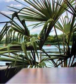 Hotel Corvus Aqua étterme