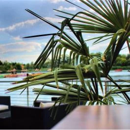 Hotel Corvus Aqua étterme Orosháza - Egyéb