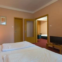 Alföld Gyöngye Hotel Orosháza - Szobák