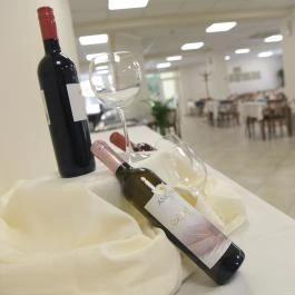 Alföld Gyöngye Hotel Orosháza - Vendéglátás