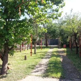 Mosoly Vendégház Orosháza - Egyéb