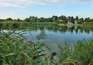Orosháza - Gyopáros-tó 