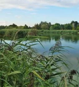 3. legjobb látnivaló: Gyopáros-tó 