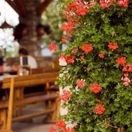 Huszár Vendéglő Örvényes - Egyéb