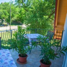 Tulipán Vendégház Örvényes - Medence/kert