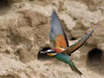 Gyurgyalagtelep Pákozd