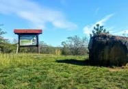 Pákozd - Pákozdi Pagony Vadaspark és Arborétum