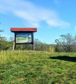 304. legjobb látnivaló: Pákozdi Pagony Vadaspark és Arborétum