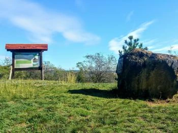Pákozdi Pagony Vadaspark és Arborétum Pákozd
