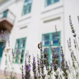 Erzsébet Nagy Szálloda Paks - Külső kép