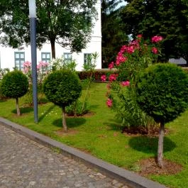 Erzsébet Nagy Szálloda Paks - Medence/kert