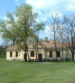 Illyés Gyula Első Iskolája