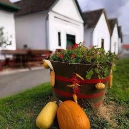 Bella Vendégház Palkonya - Egyéb