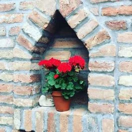 Bella Vendégház Palkonya - Egyéb