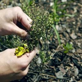 VIATOR Apátsági Étterem és Borbár Pannonhalma - Egyéb