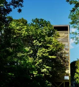 Boldog Mór-kilátó