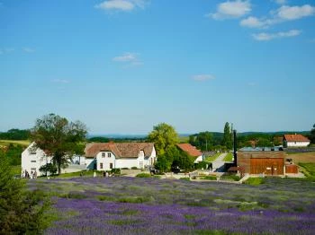 Pannonhalmi Főapátság Arborétuma és Gyógynövénykertje Pannonhalma