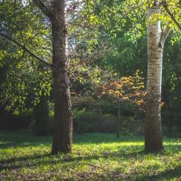 Pannonhalmi Főapátság Arborétuma és Gyógynövénykertje Pannonhalma - Egyéb