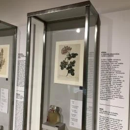 Illatmúzeum Pannonhalma - Egyéb