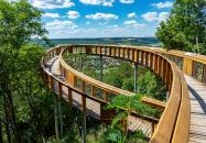 Pannonhalma - Pannonhalmi Lombkorona Tanösvény