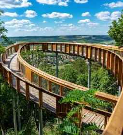 5. legjobb látnivaló: Pannonhalmi Lombkorona Tanösvény