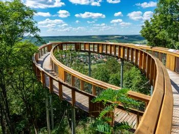 Pannonhalmi Lombkorona Tanösvény Pannonhalma