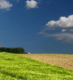 Pannonhalmi Főapátság