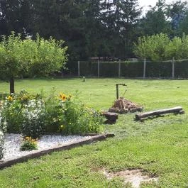 Csóka Apartman Pápa - Medence/kert