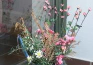 Edvy Malom Fogadó és Barokk Udvarház Pápa