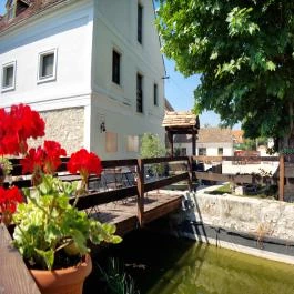 Edvy Malom Fogadó és Barokk Udvarház Pápa - Medence/kert