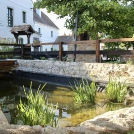 Edvy Malom Fogadó és Barokk Udvarház Pápa - Egyéb