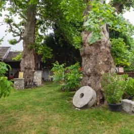 Edvy Malom Fogadó és Barokk Udvarház Pápa - Medence/kert