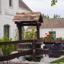 Edvy Malom Fogadó és Barokk Udvarház Pápa - Medence/kert